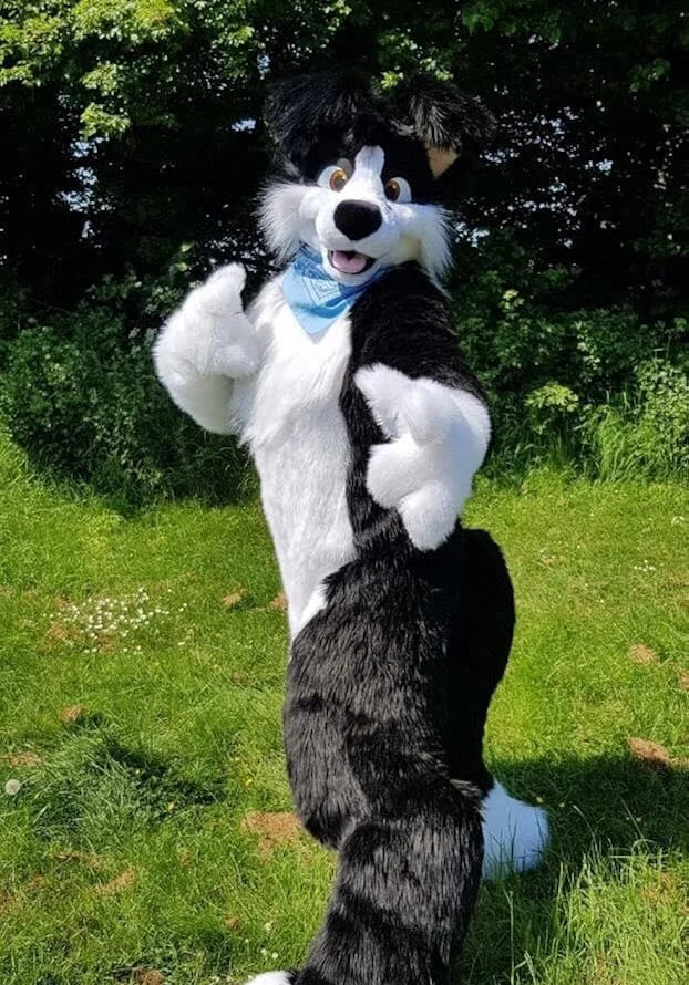 ShadowPaw - Fursuit Chien Noir et Blanc Cosplay